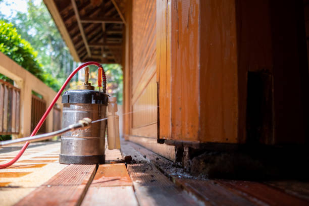 Best Pest Removal Services  in Clover Creek, WA